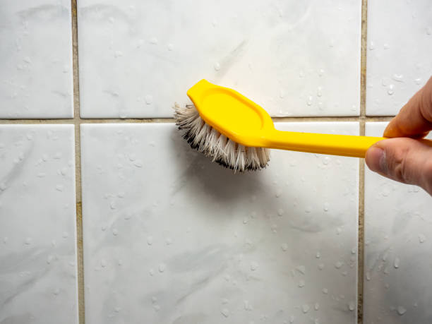 Water Damage Restoration in Norfolk, VA