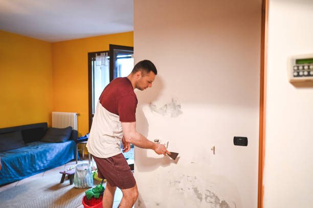 Home Mold Removal in Norfolk, VA